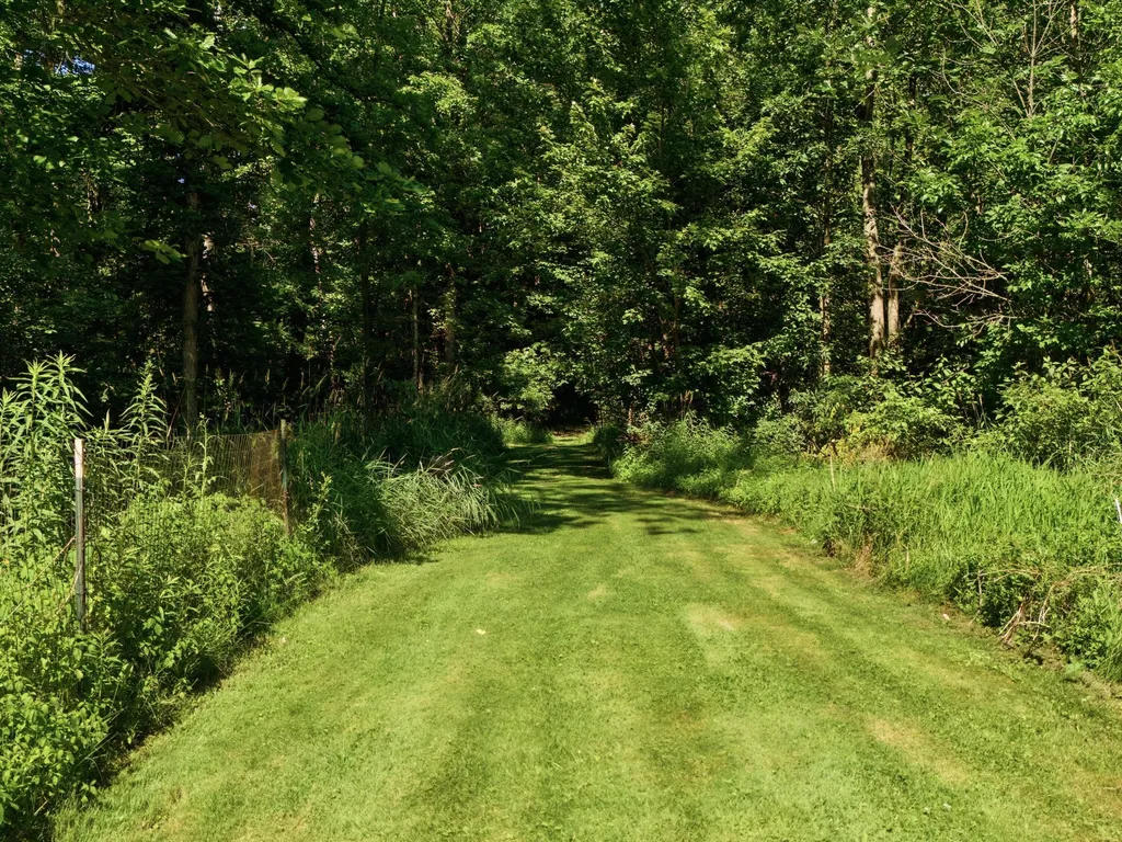 2411 Wadhams Road Kimball Township MI 48074