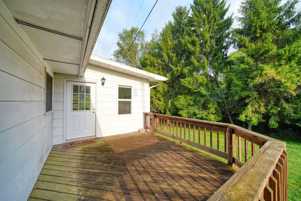4802 Forrister Road Adrian Township MI 49221