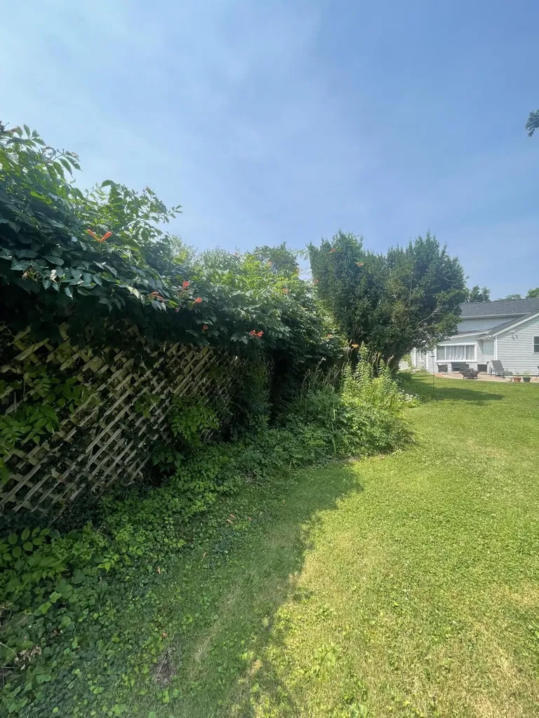 310 N Union Street Tecumseh City MI 49286