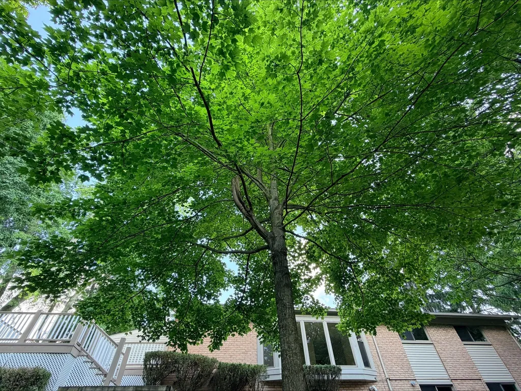5164 Coldspring Court West Bloomfield Charter Township MI 48322