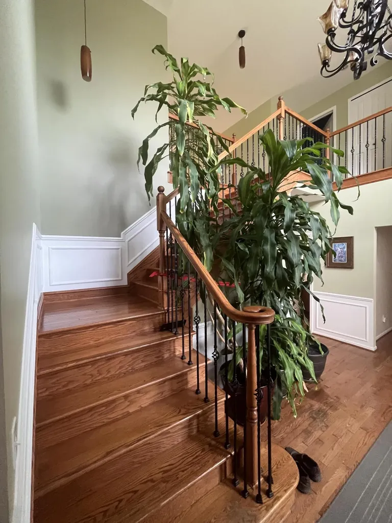 49182 Woodson Way Canton Charter Township MI 48187