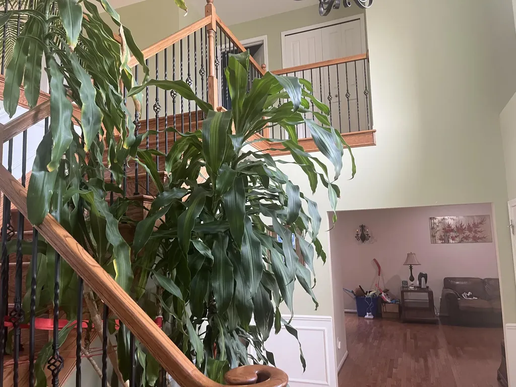 49182 Woodson Way Canton Charter Township MI 48187
