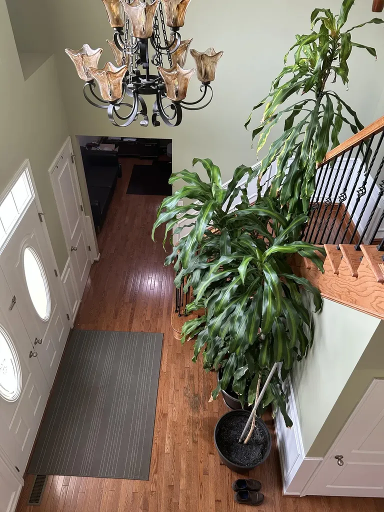 49182 Woodson Way Canton Charter Township MI 48187