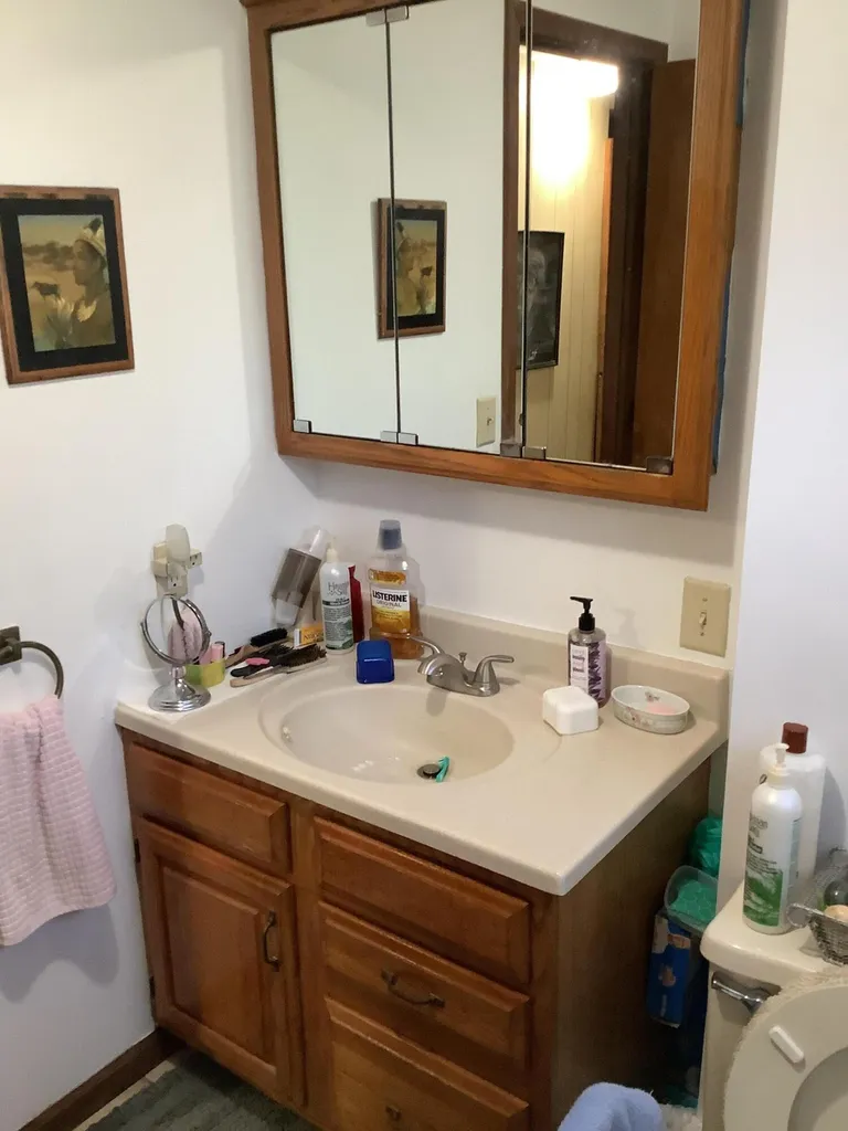 44481 Dunn Road Belleville City MI 48111