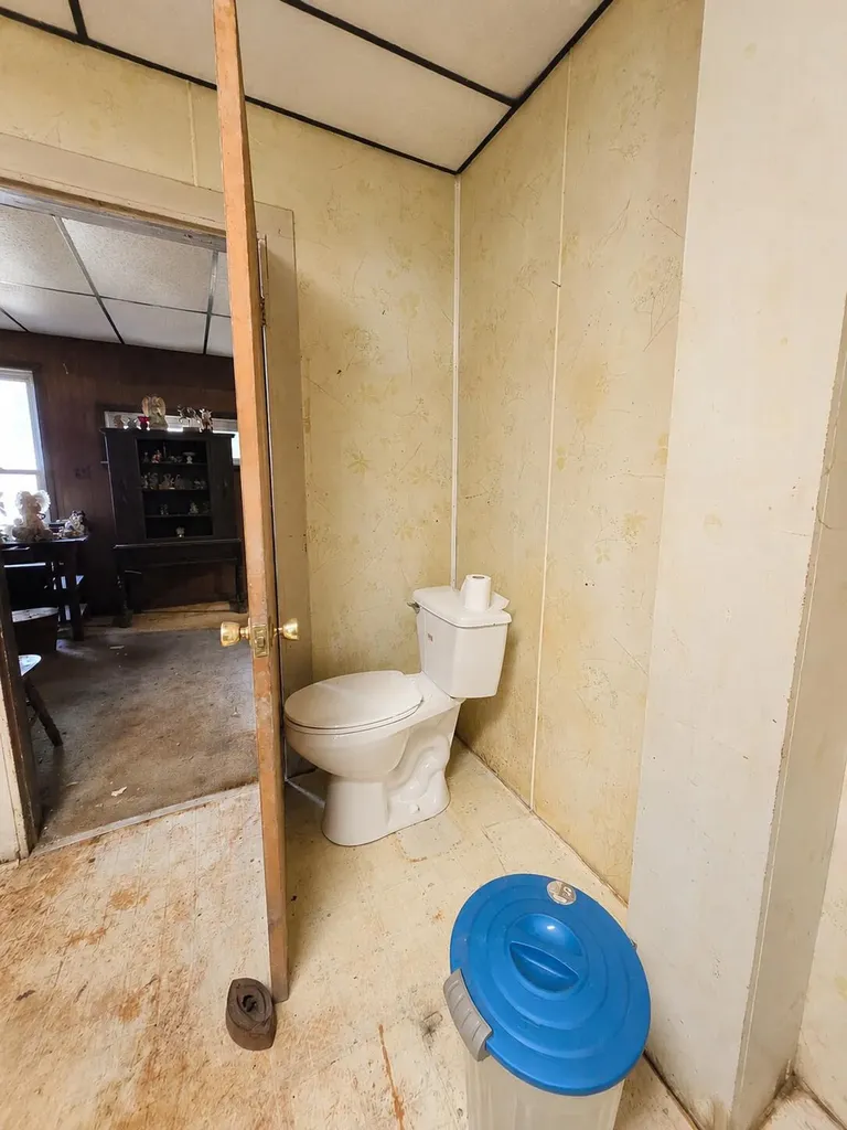 312 W 7th Henrietta Township MI 49259