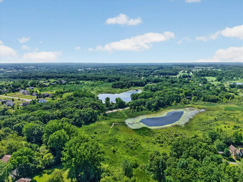 9236 Stoneyfield Court Dexter Township MI 48130