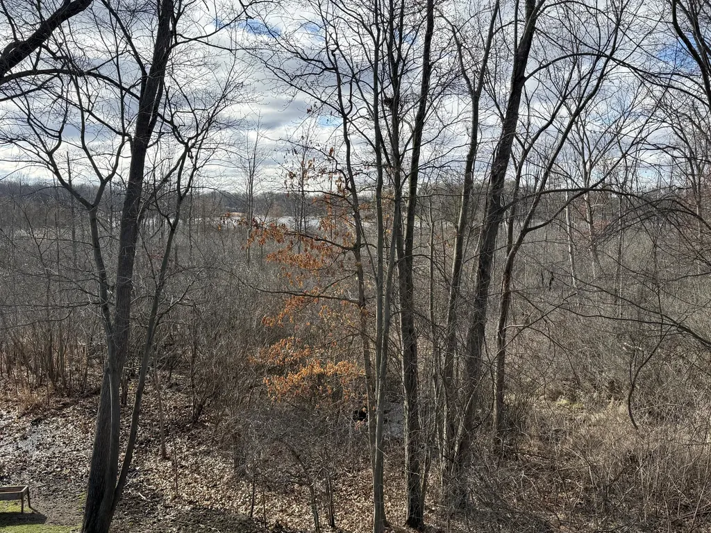 9936 Tioga Drive Hamburg Township MI 48169