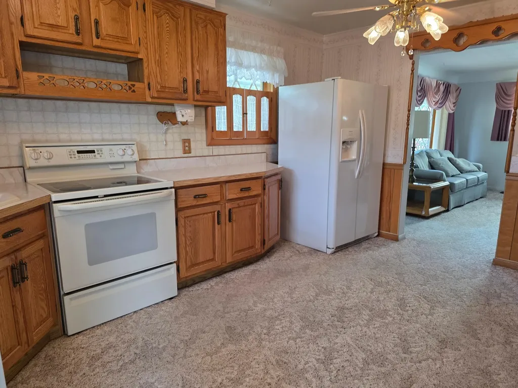 695 9th Street Wyandotte City MI 48192
