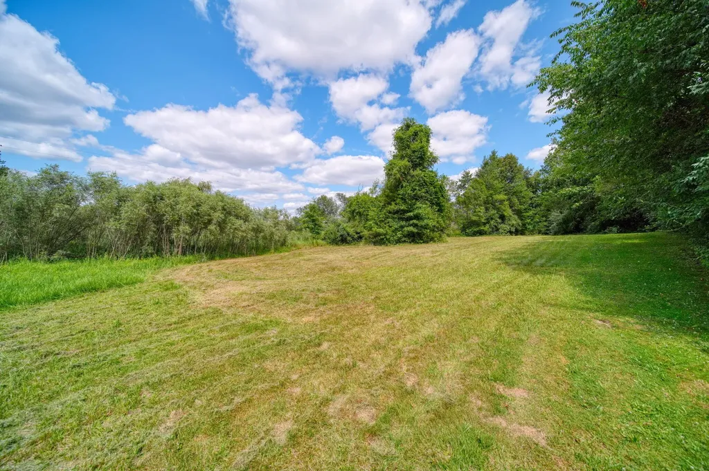4959 Deleon Drive Raisin Township MI 49286