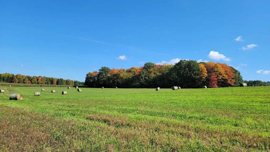 9757 Kaiser Road Bridgewater Township MI 48176