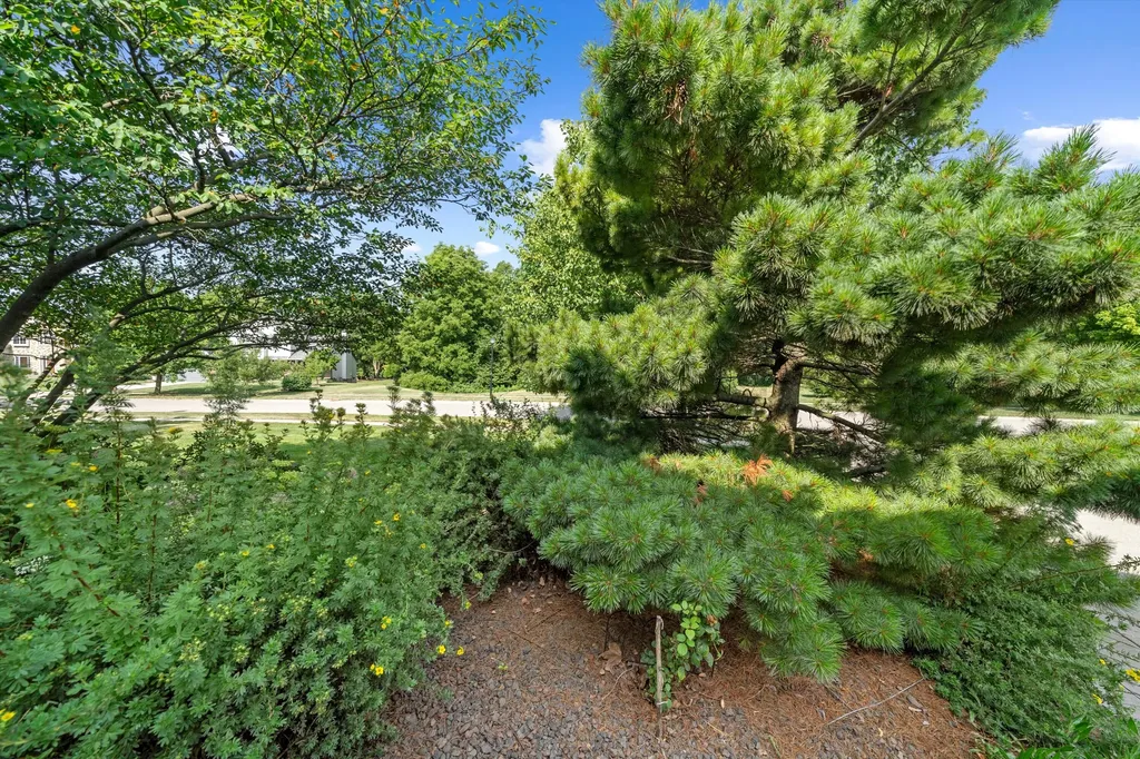 4562 Sycamore Drive Pittsfield Charter Township MI 48197