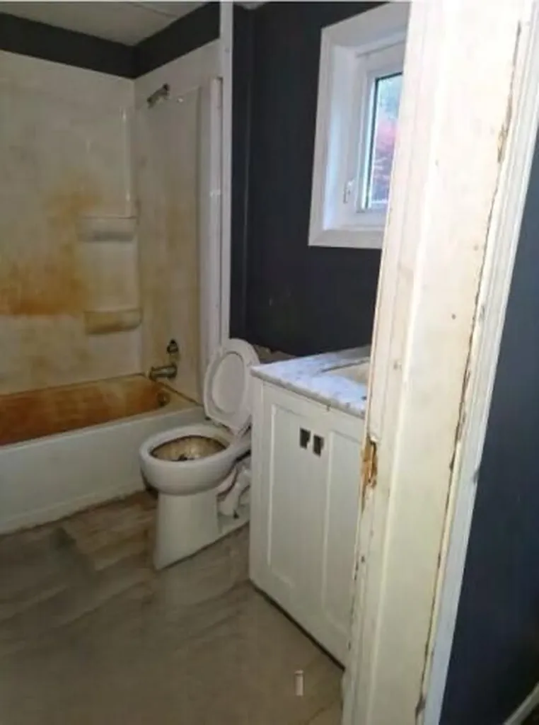 216 W Pine Street Bloomingdale Village MI 49026