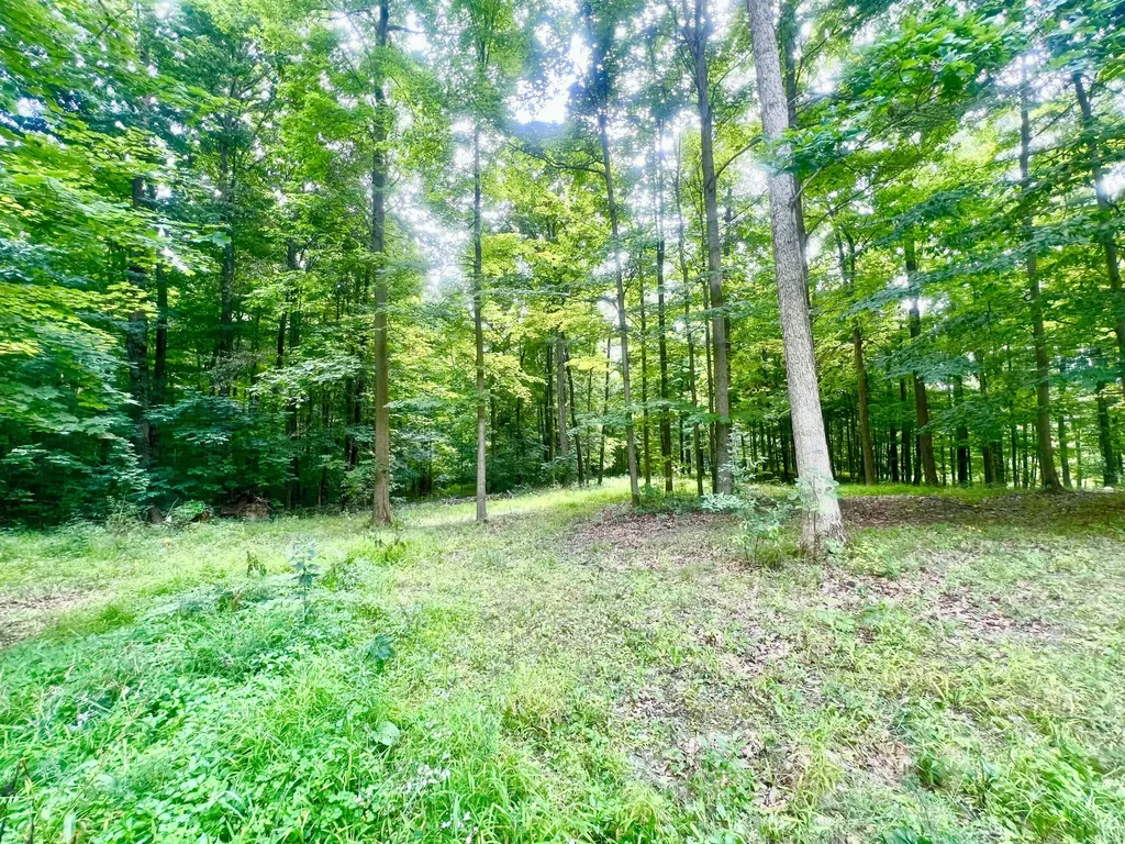 2201 S Sand Lake Road Cambria Township MI 49242