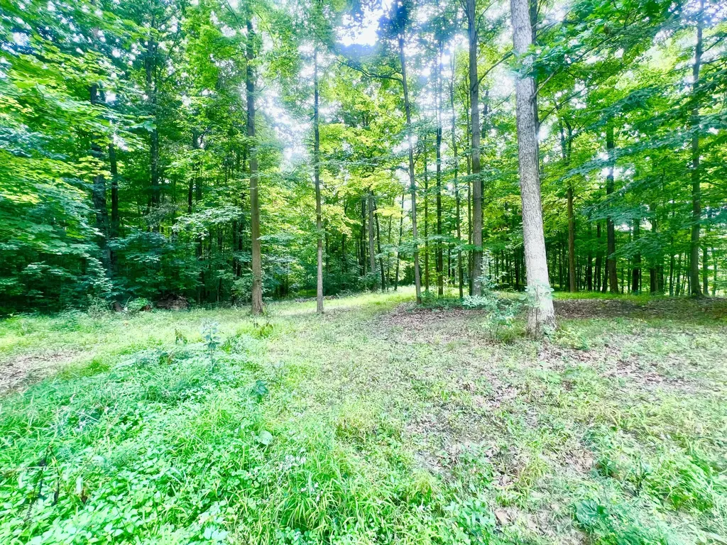 2201 S Sand Lake Road Cambria Township MI 49242