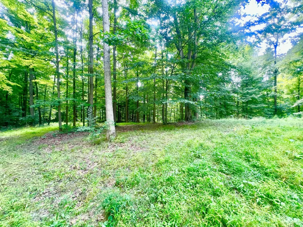 2201 S Sand Lake Road Cambria Township MI 49242