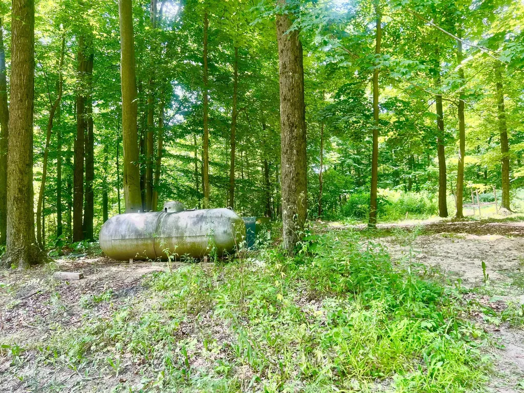 2201 S Sand Lake Road Cambria Township MI 49242