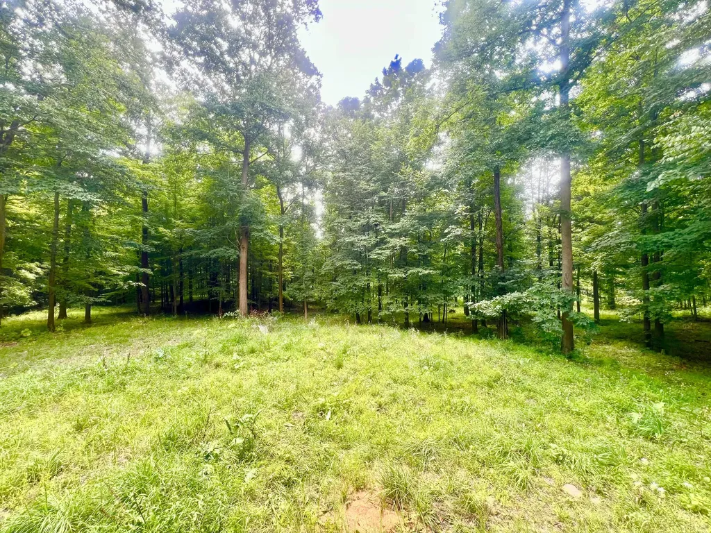 2201 S Sand Lake Road Cambria Township MI 49242