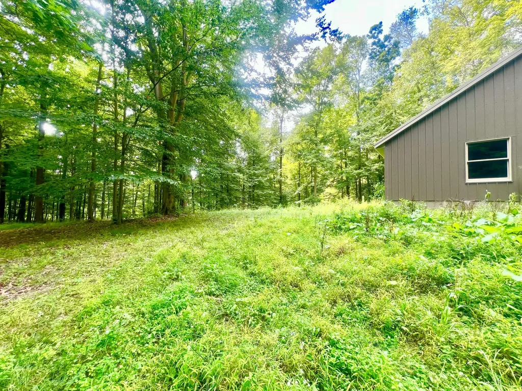 2201 S Sand Lake Road Cambria Township MI 49242