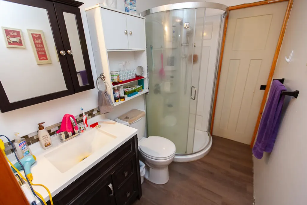 14120 Tyson Trail Amboy Township MI 49232