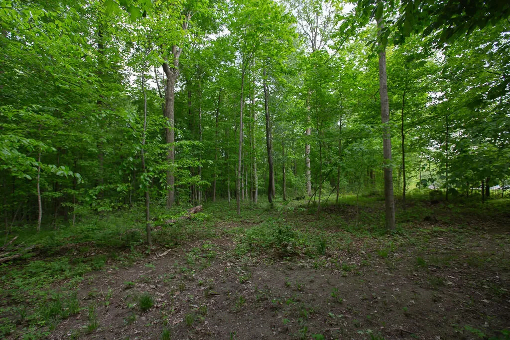 14120 Tyson Trail Amboy Township MI 49232