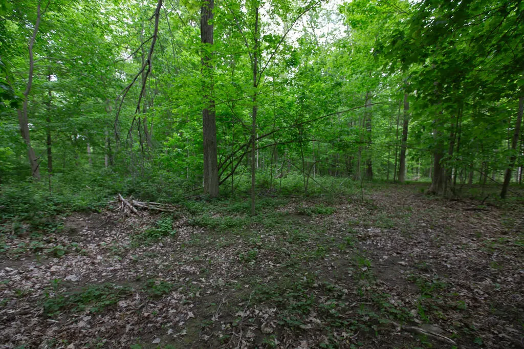 14120 Tyson Trail Amboy Township MI 49232