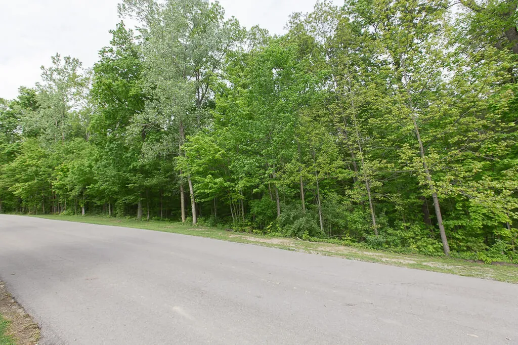 14120 Tyson Trail Amboy Township MI 49232