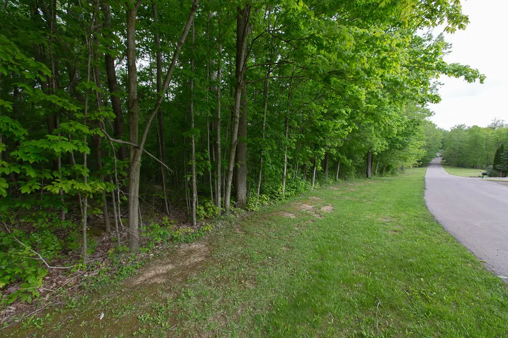 14120 Tyson Trail Amboy Township MI 49232
