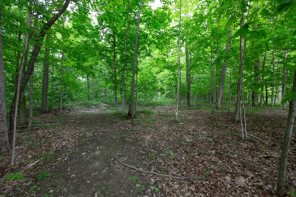 14120 Tyson Trail Amboy Township MI 49232