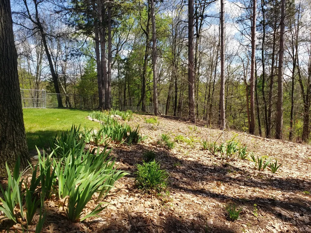 1700 Hamilton Road Bedford Charter Township MI 49017