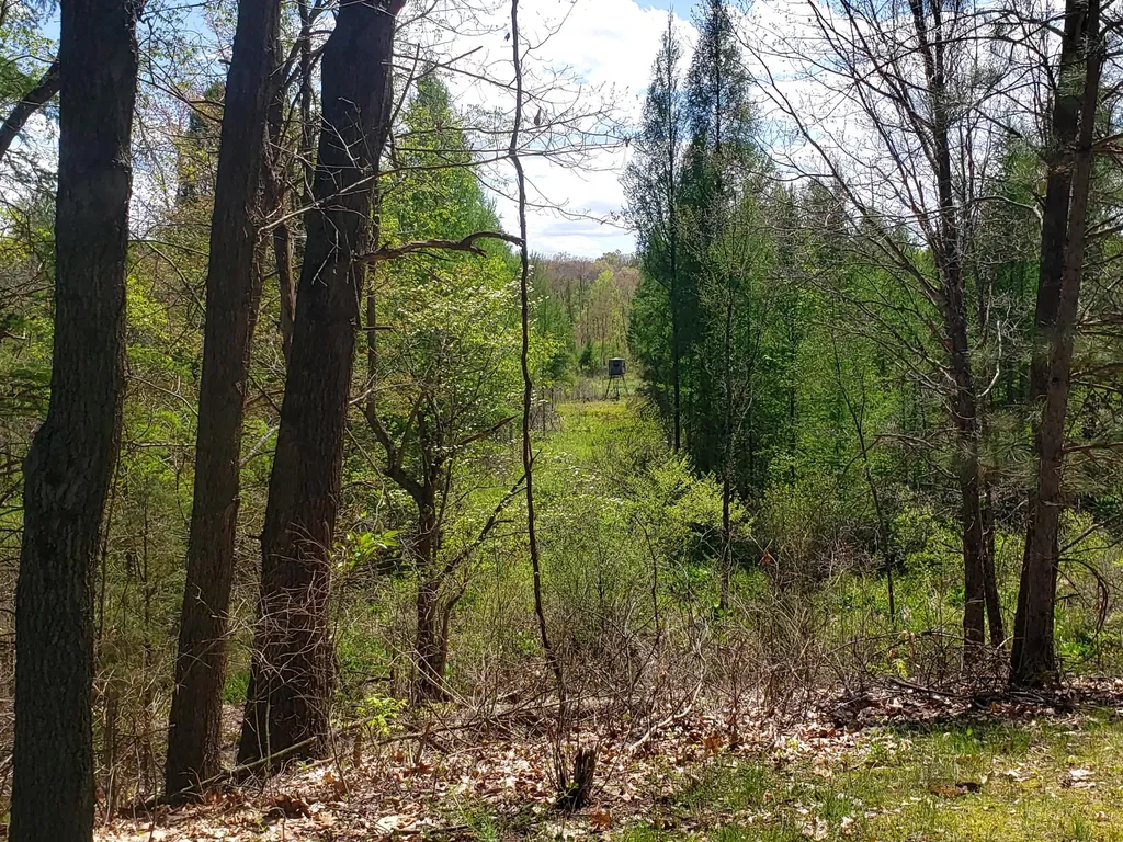 1700 Hamilton Road Bedford Charter Township MI 49017