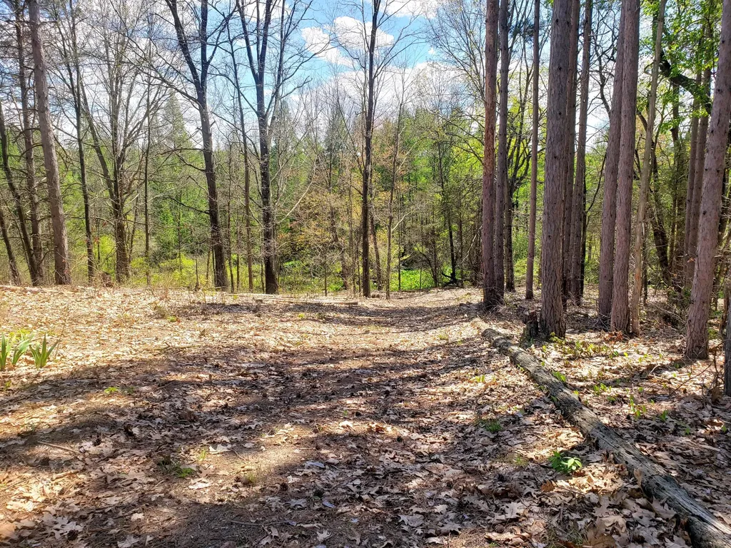 1700 Hamilton Road Bedford Charter Township MI 49017