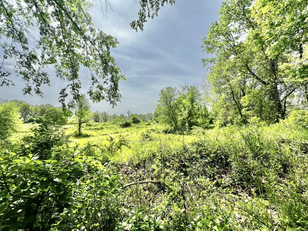 16400 28 Mile Road Sheridan Township MI 49224