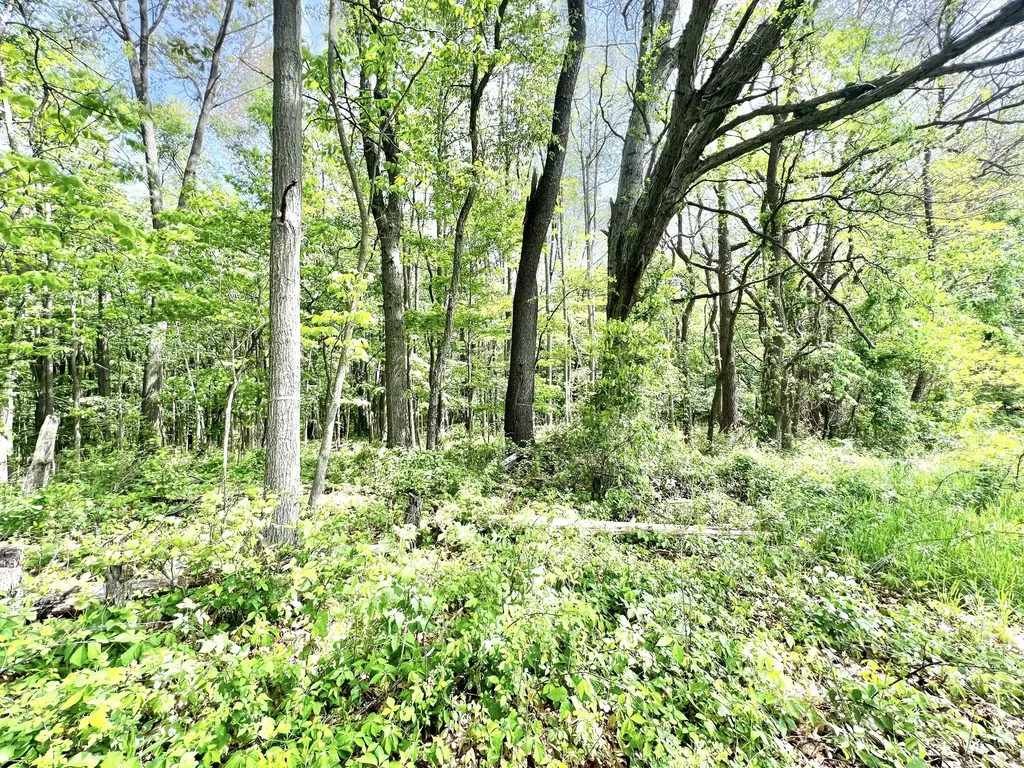 16400 28 Mile Road Sheridan Township MI 49224