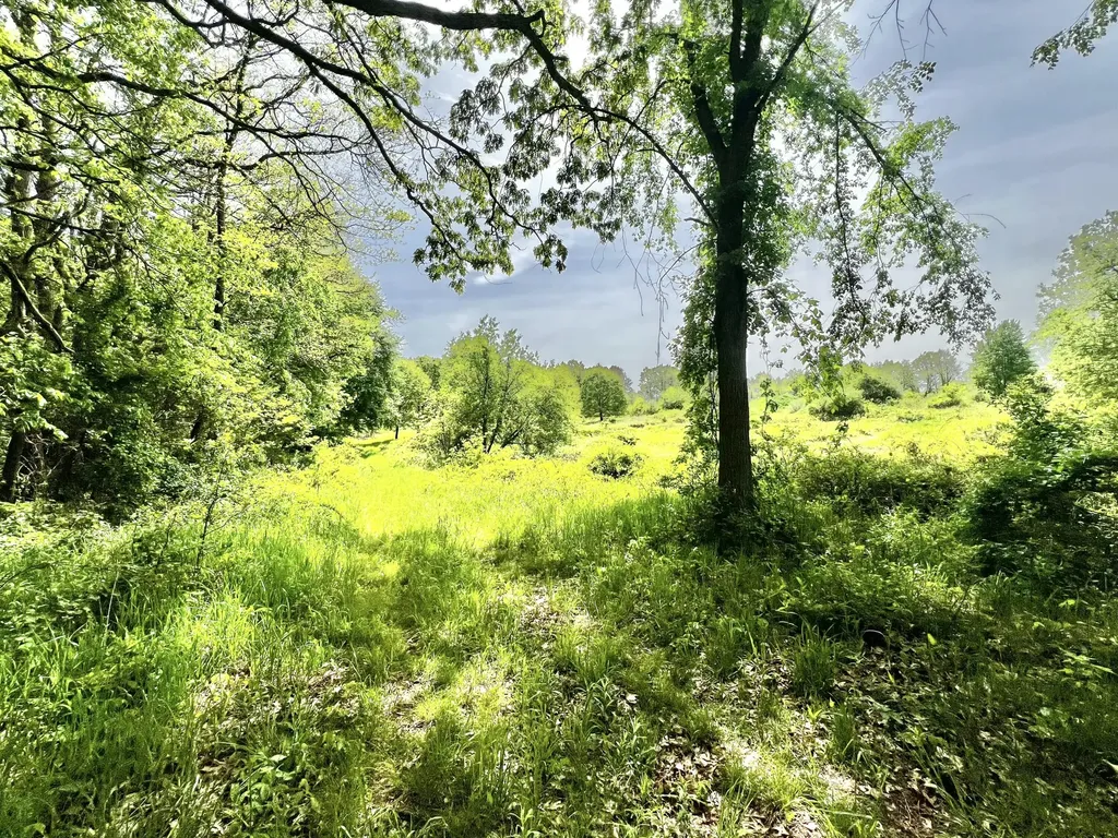 16400 28 Mile Road Sheridan Township MI 49224