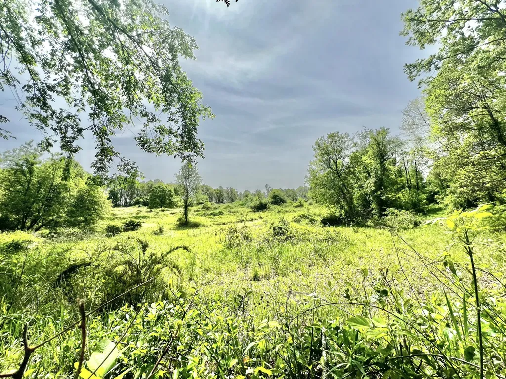 16400 28 Mile Road Sheridan Township MI 49224