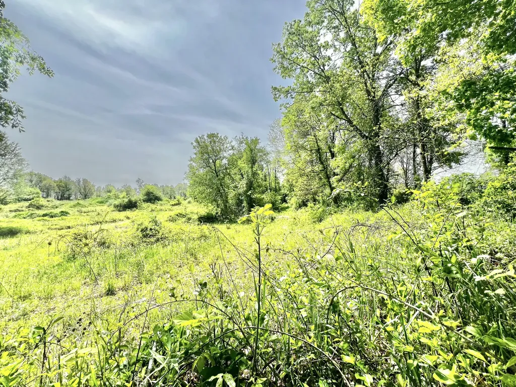 16400 28 Mile Road Sheridan Township MI 49224
