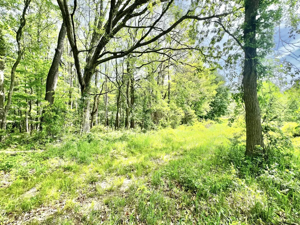 16400 28 Mile Road Sheridan Township MI 49224