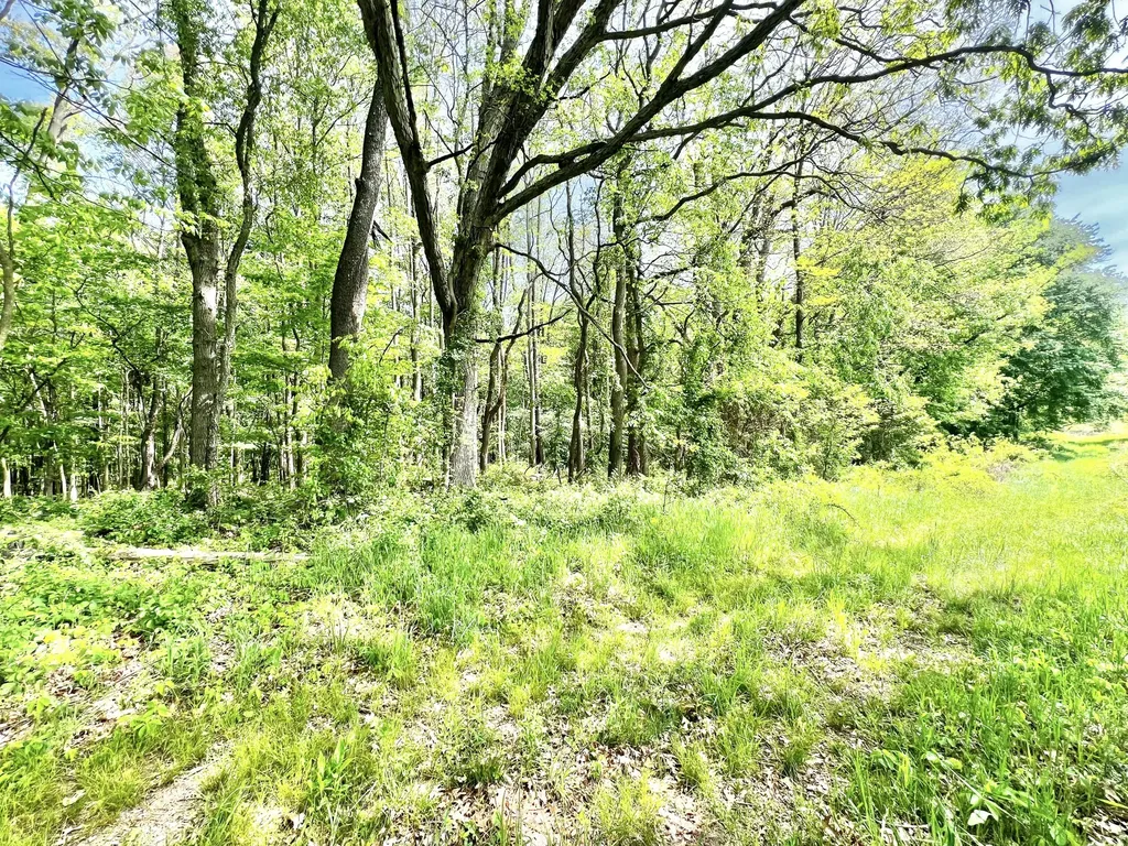 16400 28 Mile Road Sheridan Township MI 49224