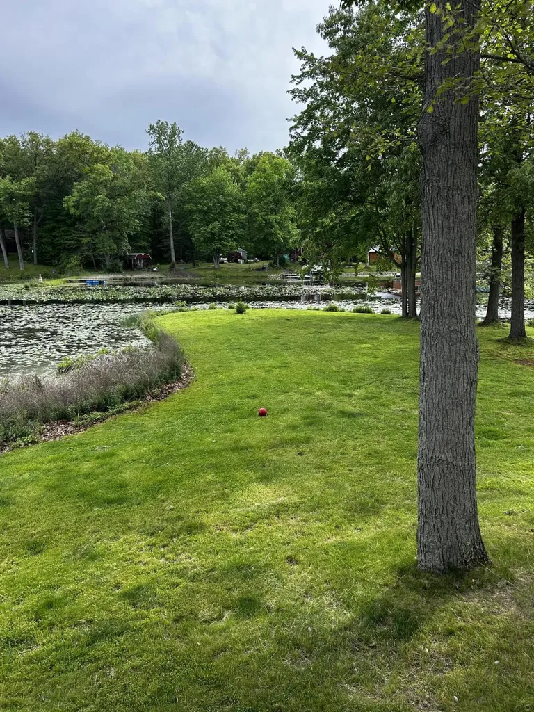 7880 Poplar Lane Reading Township MI 49274