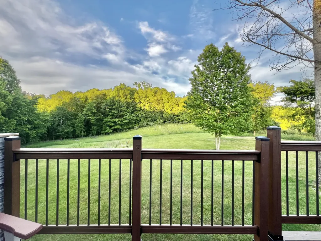 4491 Waldron Road Wheatland Township MI 49262