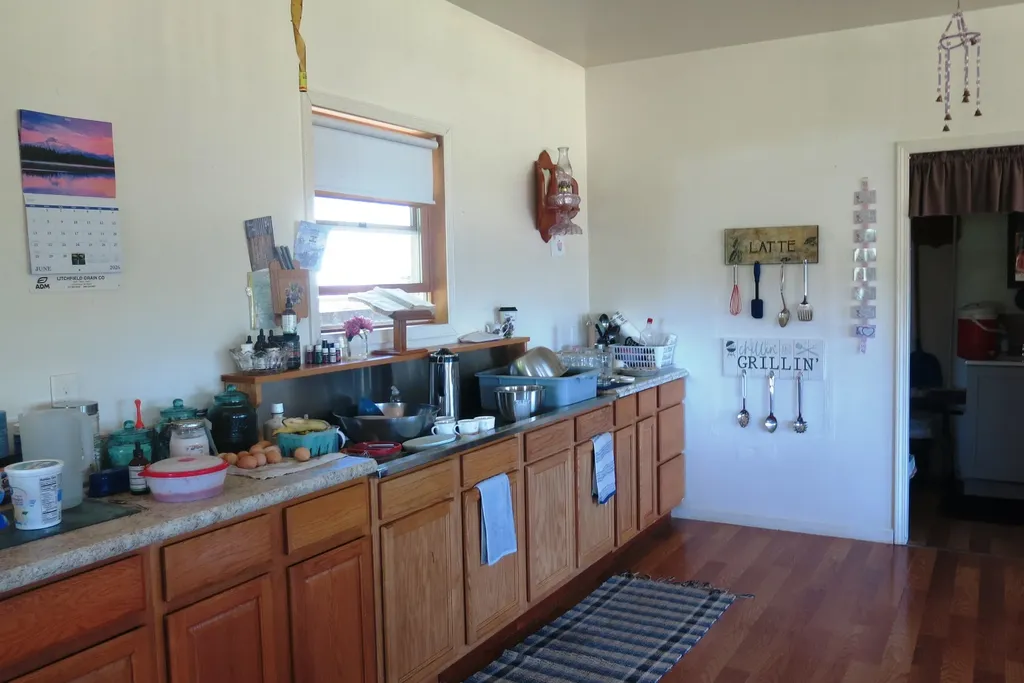 1024 23 Mile Road Clarendon Township MI 49245