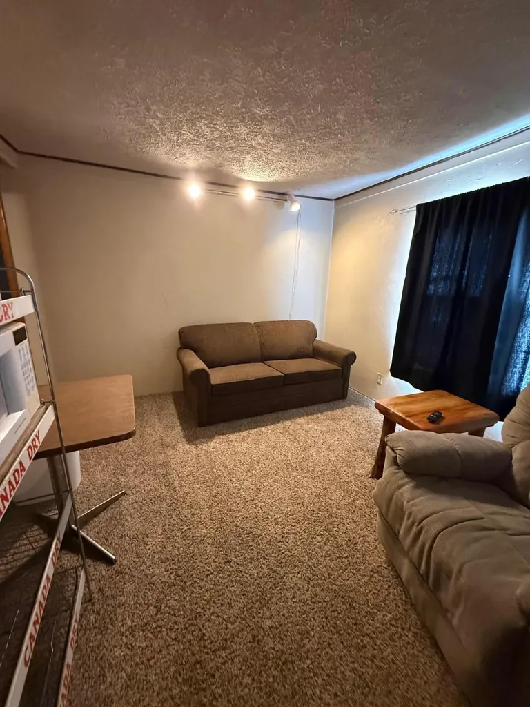 28981 W M-28 Chippewa Township MI 49728