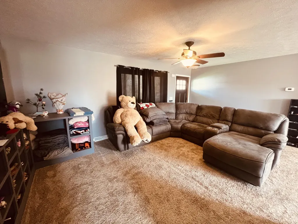 265 W Pearl Road Bethel Township MI 49036