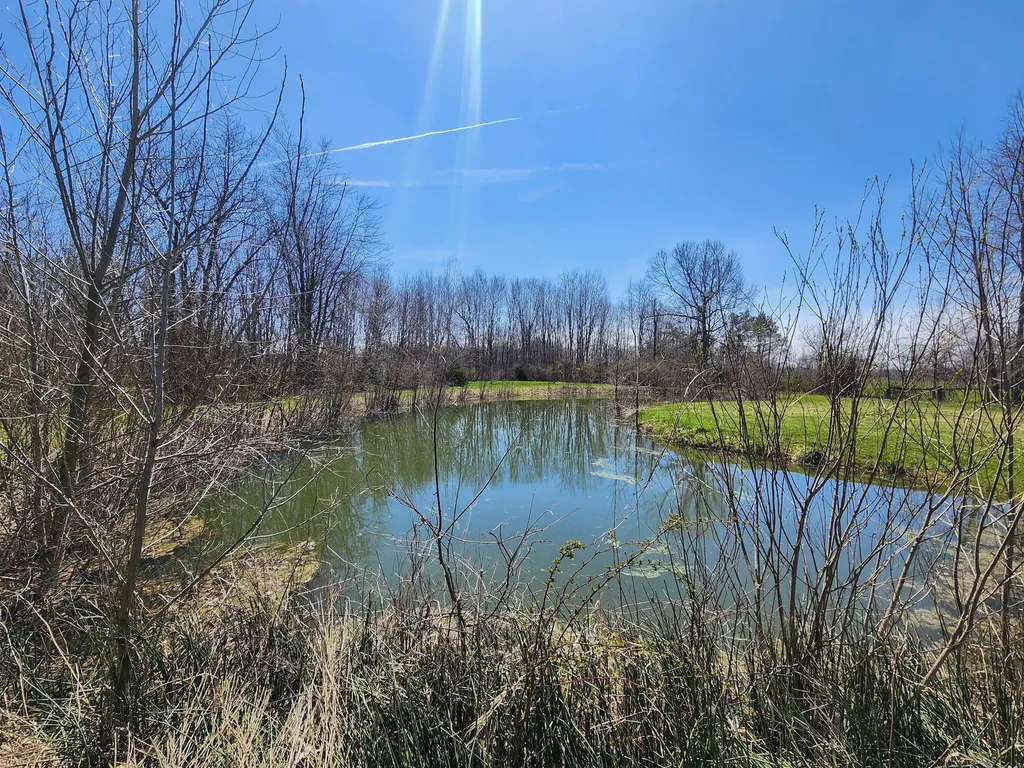 265 W Pearl Road Bethel Township MI 49036