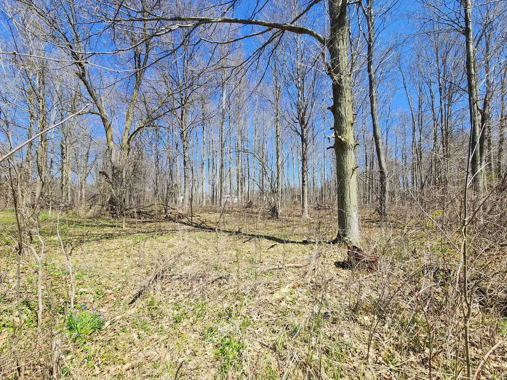 265 W Pearl Road Bethel Township MI 49036