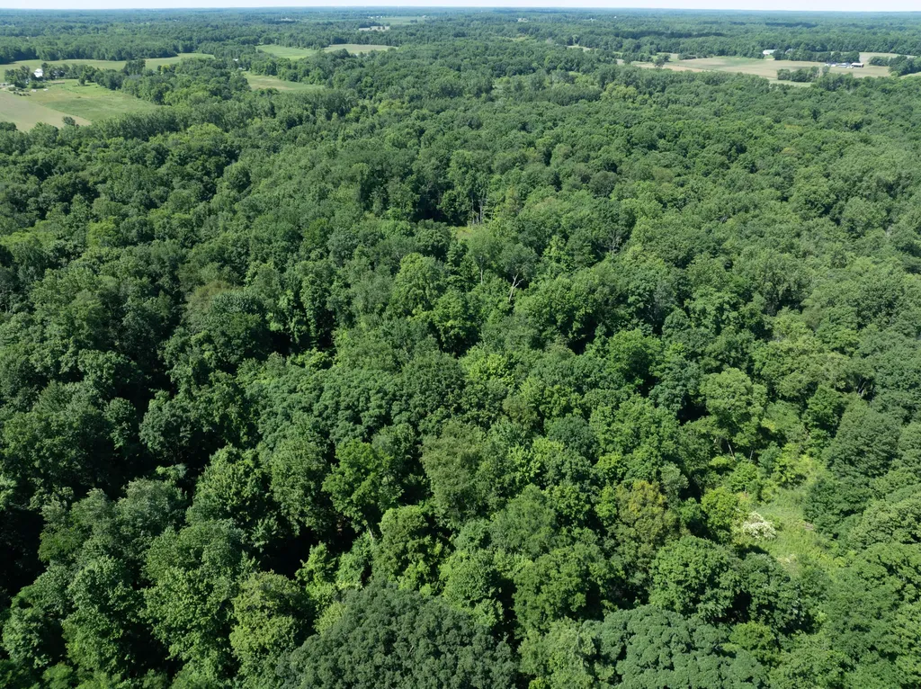 1254-A Burbank Road Butler Township MI 49082