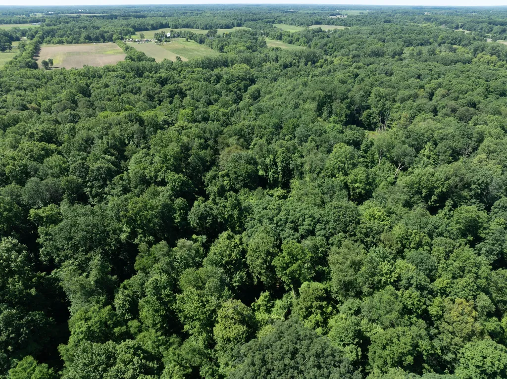 1254-A Burbank Road Butler Township MI 49082