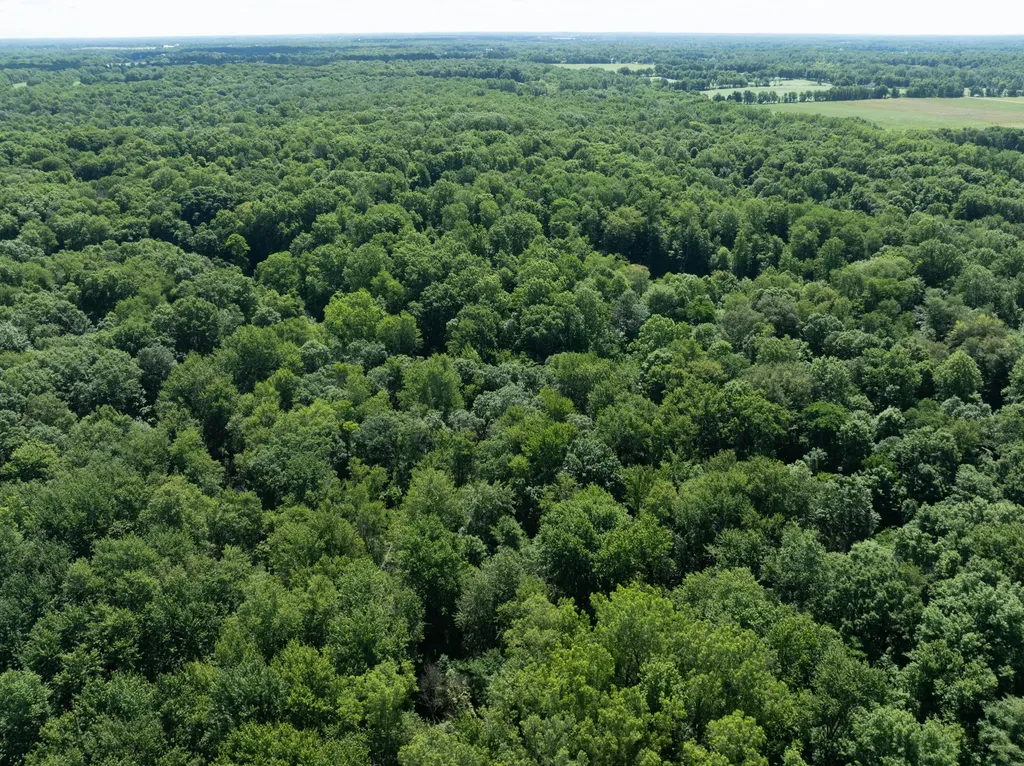 1254-A Burbank Road Butler Township MI 49082