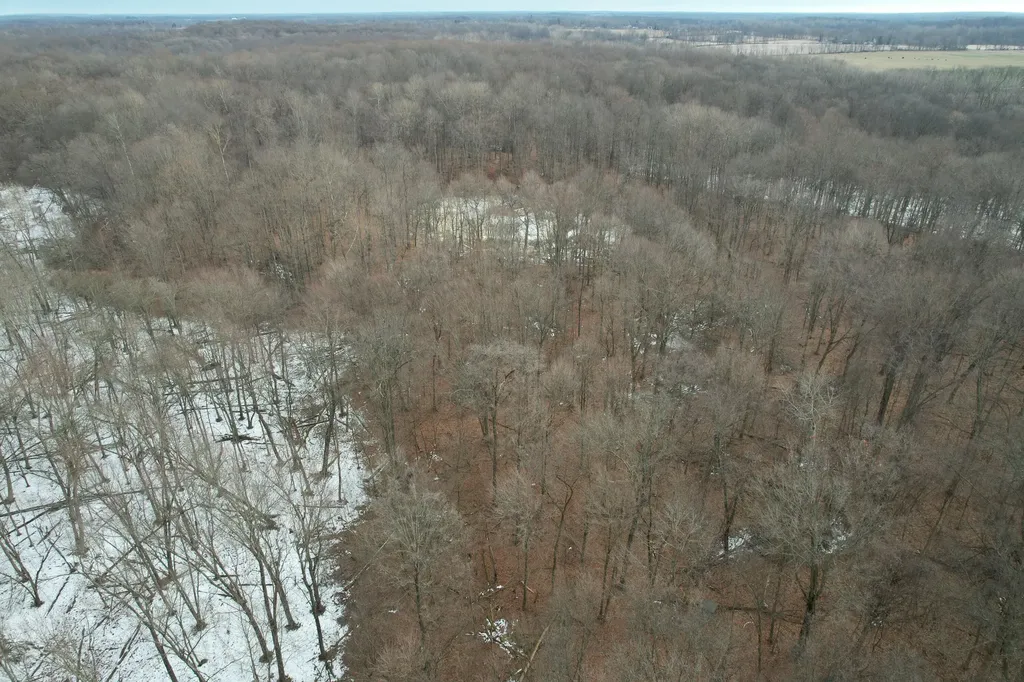 1255 Burbank Road Butler Township MI 49082