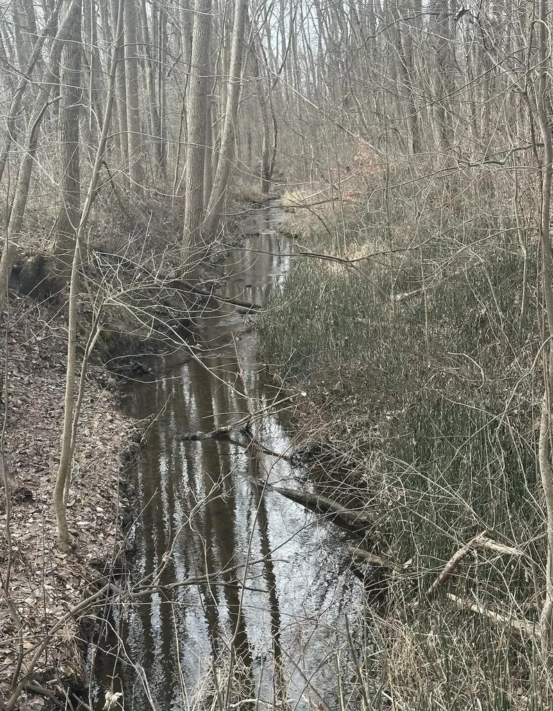 1255 Burbank Road Butler Township MI 49082